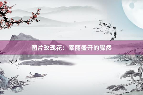 图片玫瑰花：素丽盛开的骤然